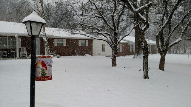 IMG_20160122_141949074